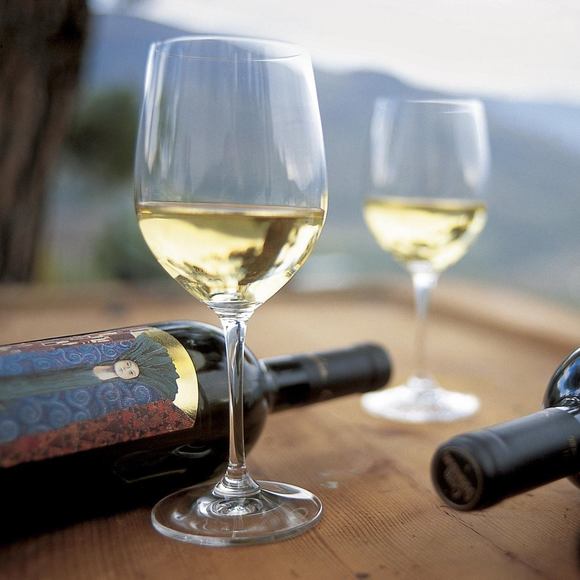 Meet your Posher, Eli - Picture 1 of 1